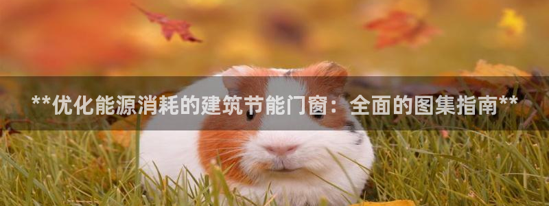 谁知道e尊国际的网址：**优化能源消耗的建筑节能门窗：全面的图集指南**
