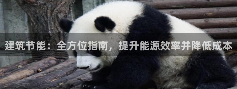 e尊国际娱乐官网下载：建筑节能：全方位指南，提升能源效率并降低成本