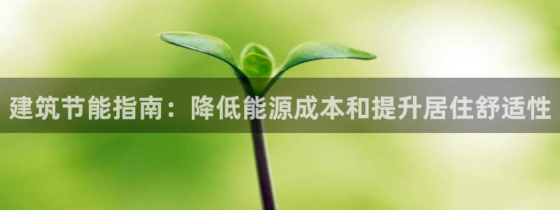 e尊国际-e尊国际官网：建筑节能指南：降低能源成本和提升居住舒适性