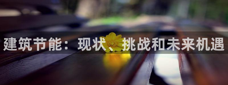 e尊国际娱乐官网下载：建筑节能：现状、挑战和未来机遇