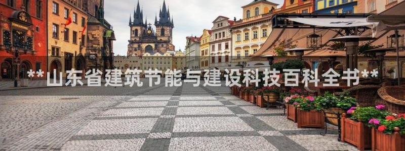 e尊国际官方网站：**山东省建筑节能与建设科技百科全书**