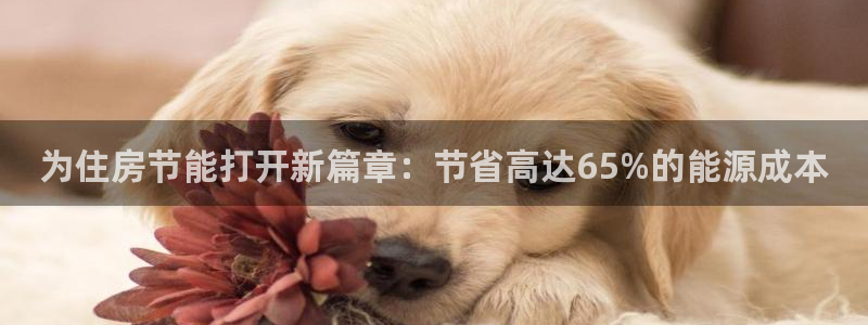e尊国际地址：为住房节能打开新篇章：节省高达65%的能源成本