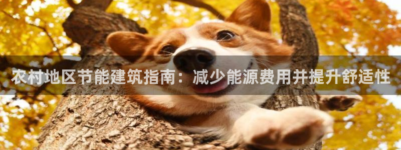 e尊国际7779：农村地区节能建筑指南：减少能源费用并提升舒适性