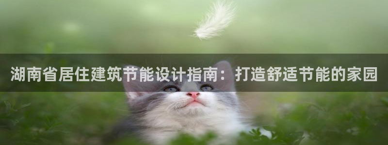e尊平台：湖南省居住建筑节能设计指南：打造舒适节能的家园