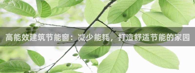 e尊国际是个黑网：高能效建筑节能窗：减少能耗，打造舒适节能的家园