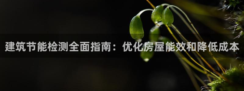 尊亿游戏国际官网：建筑节能检测全面指南：优化房屋能效和降低成本