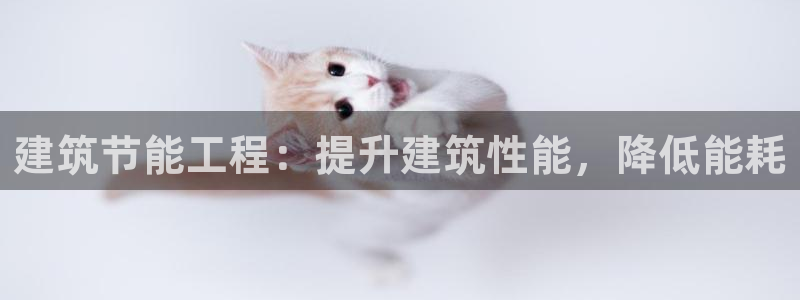 谁知道e尊国际的网址：建筑节能工程：提升建筑性能，降低能耗
