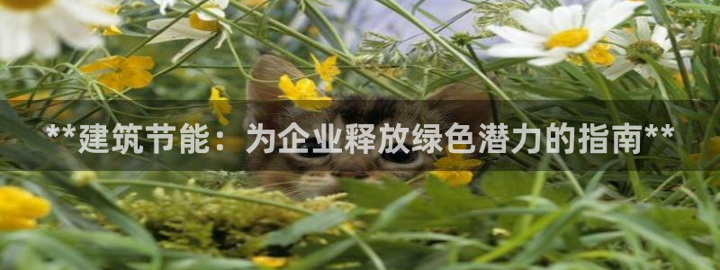 e尊国际-e尊国际官网：**建筑节能：为企业释放绿色潜力的指南**