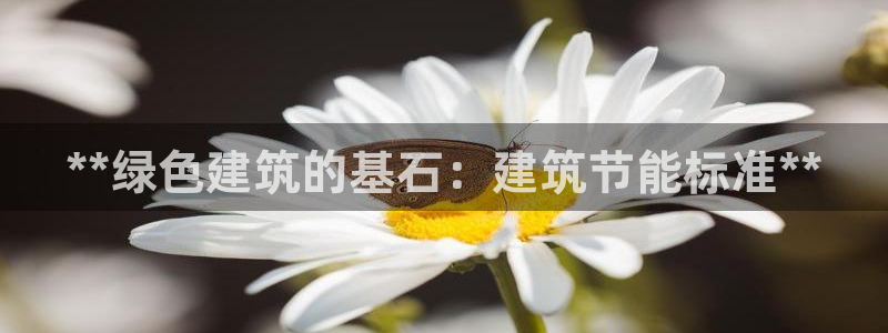 e尊国际是个黑网：**绿色建筑的基石：建筑节能标准**