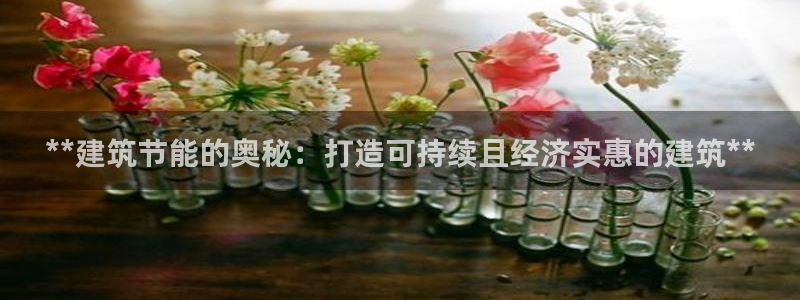 e尊国际地址：**建筑节能的奥秘：打造可持续且经济实惠的建筑**
