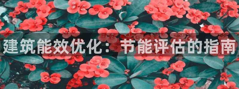 e尊国际客户端下载：建筑能效优化：节能评估的指南