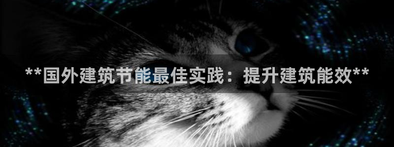 e尊国际官方网站：**国外建筑节能最佳实践：提升建筑能效**