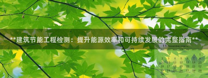 e尊国际平台：**建筑节能工程检测：提升能源效率和可持续发展的完整指南**