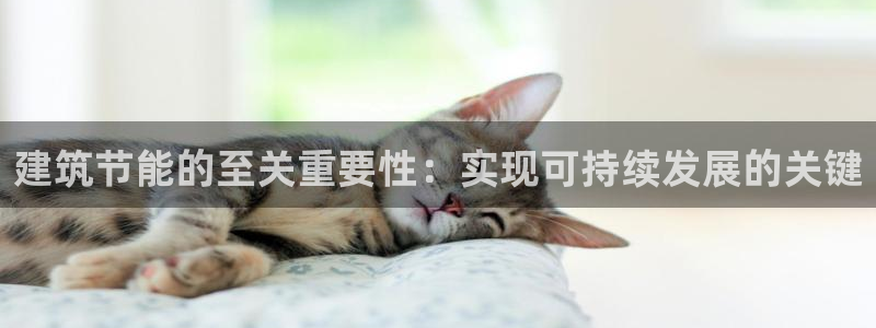 E尊国际网站：建筑节能的至关重要性：实现可持续发展的关键