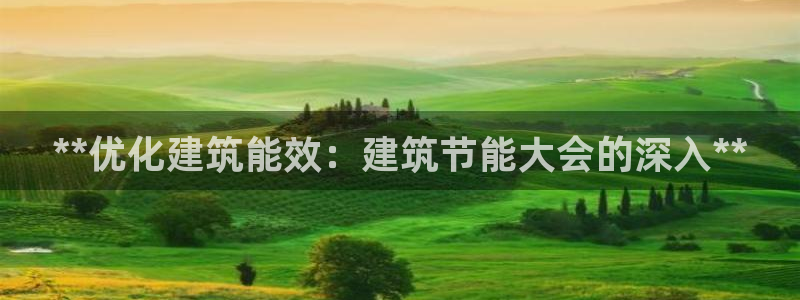 e尊国际网址：**优化建筑能效：建筑节能大会的深入**