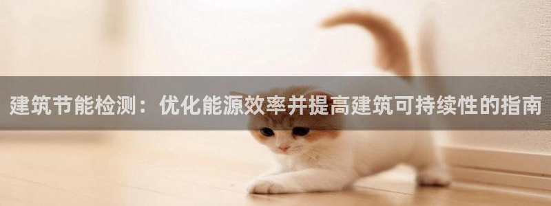 e尊国际客服：建筑节能检测：优化能源效率并提高建筑可持续性的指南