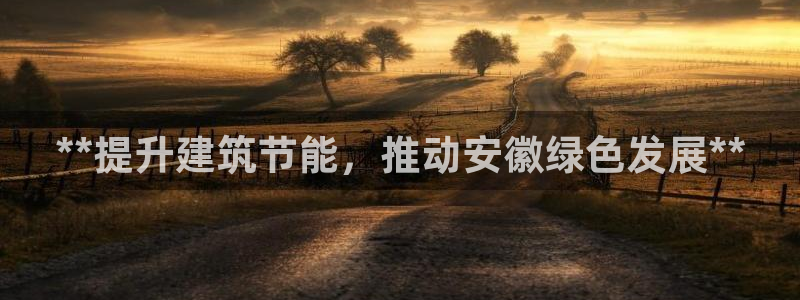 e尊国际地址：**提升建筑节能，推动安徽绿色发展**