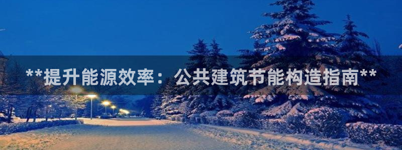 e尊平台：**提升能源效率：公共建筑节能构造指南**