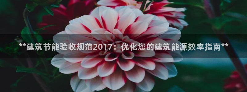e尊平台：**建筑节能验收规范2017：优化您的建筑能源效率指南**