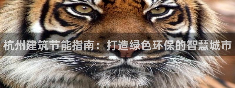 e尊国际娱乐官网下载：杭州建筑节能指南：打造绿色环保的智慧城市