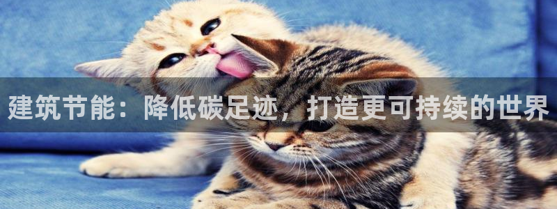 e尊国际地址：建筑节能：降低碳足迹，打造更可持续的世界