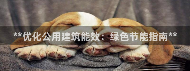 e尊国际娱乐官网地址：**优化公用建筑能效：绿色节能指南**
