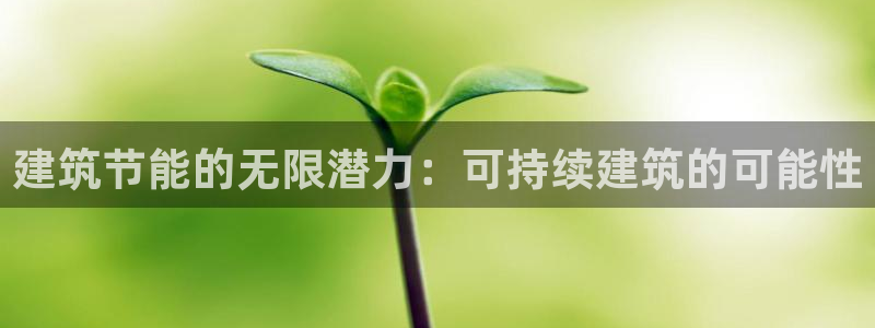 e尊国际客户端：建筑节能的无限潜力：可持续建筑的可能性