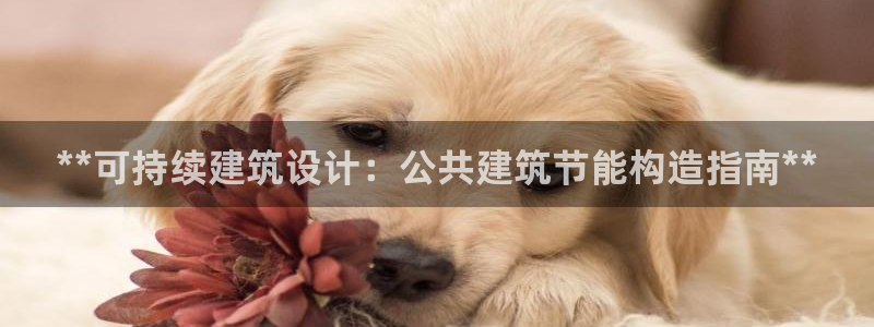 尊亿游戏国际官网：**可持续建筑设计：公共建筑节能构造指南**