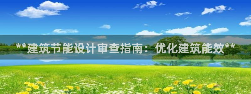 e尊国际平台：**建筑节能设计审查指南：优化建筑能效**