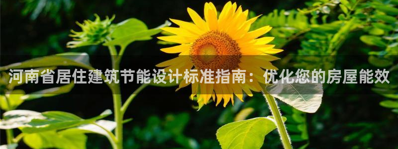 e尊国际平台：河南省居住建筑节能设计标准指南：优化您的房屋能效