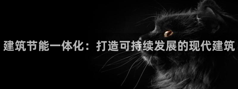 e尊国际app：建筑节能一体化：打造可持续发展的现代建筑