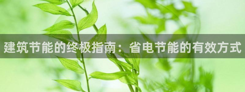 谁知道e尊国际的网址：建筑节能的终极指南：省电节能的有效方式