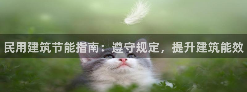 e尊国际官网·网址：民用建筑节能指南：遵守规定，提升建筑能效