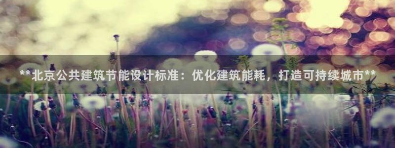e尊国际是干什么的：**北京公共建筑节能设计标准：优化建筑能耗，打造可持续城市**