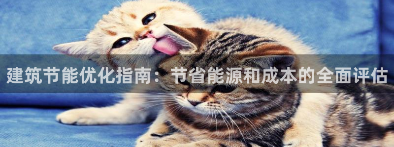 e尊国际官网app：建筑节能优化指南：节省能源和成本的全面评估