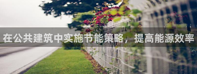 e尊国际的手机登录网站：在公共建筑中实施节能策略，提高能源效率