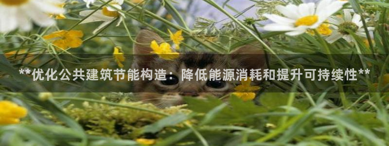 e尊平台：**优化公共建筑节能构造：降低能源消耗和提升可持续性**