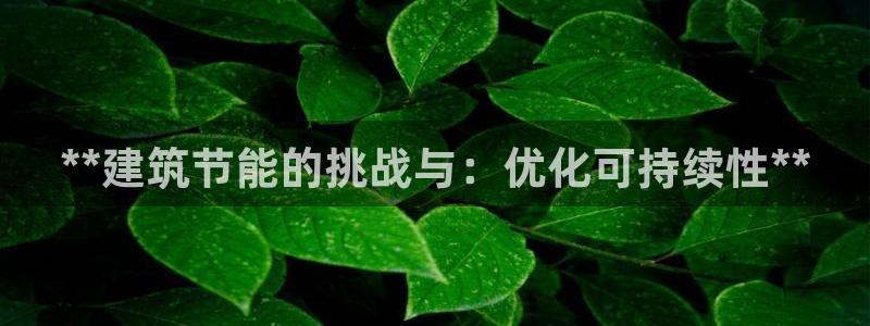 e尊国际是干什么的：**建筑节能的挑战与：优化可持续性**