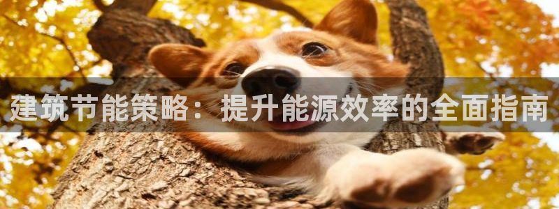 e尊国际网址：建筑节能策略：提升能源效率的全面指南