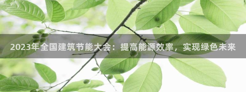 谁知道e尊国际的网址：2023年全国建筑节能大会：提高能源效率，实现绿色未来