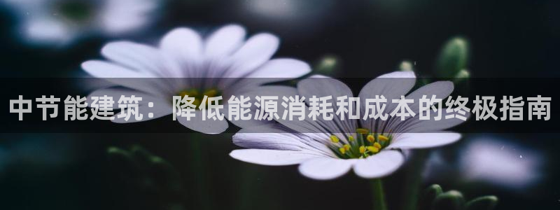 e尊国际7779