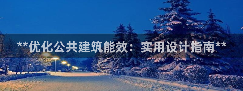 e尊国际的手机登录网站：**优化公共建筑能效：实用设计指南**