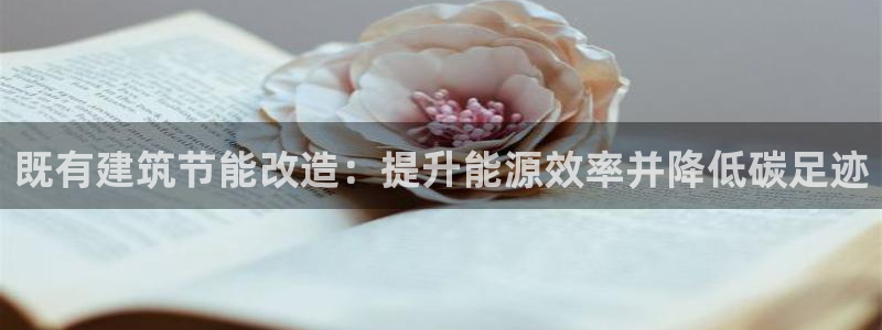 e尊国际娱乐官网地址：既有建筑节能改造：提升能源效率并降低碳足迹