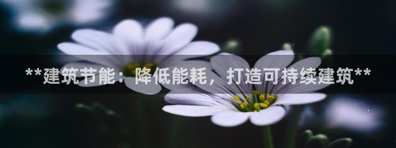 e尊国际是干什么的：**建筑节能：降低能耗，打造可持续建筑**
