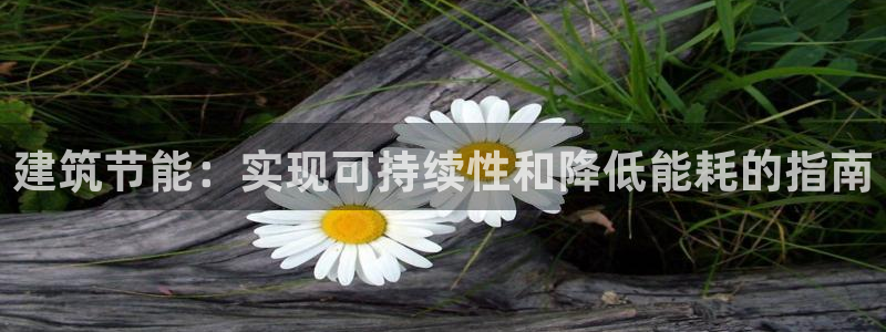 e尊国际平台：建筑节能：实现可持续性和降低能耗的指南