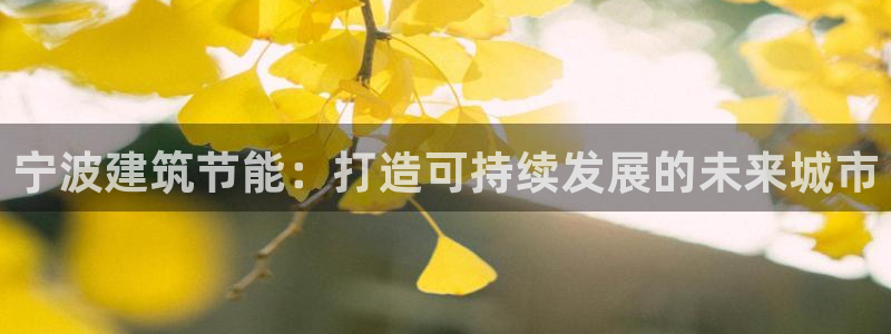 e尊国际娱乐官网地址：宁波建筑节能：打造可持续发展的未来城市