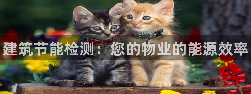 e尊国际的手机登录网站：建筑节能检测：您的物业的能源效率