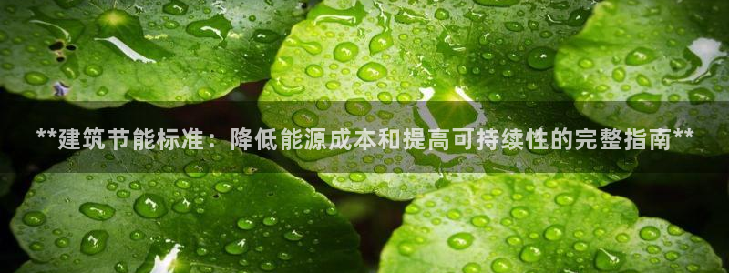 e尊国际官网：**建筑节能标准：降低能源成本和提高可持续性的完整指南**