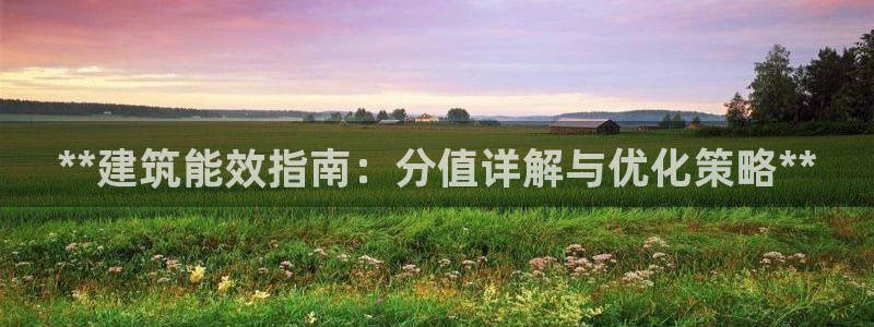 e尊国际客户端：**建筑能效指南：分值详解与优化策略**
