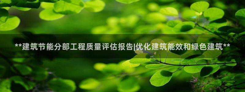 e尊国际是干什么的：**建筑节能分部工程质量评估报告|优化建筑能效和绿色建筑**